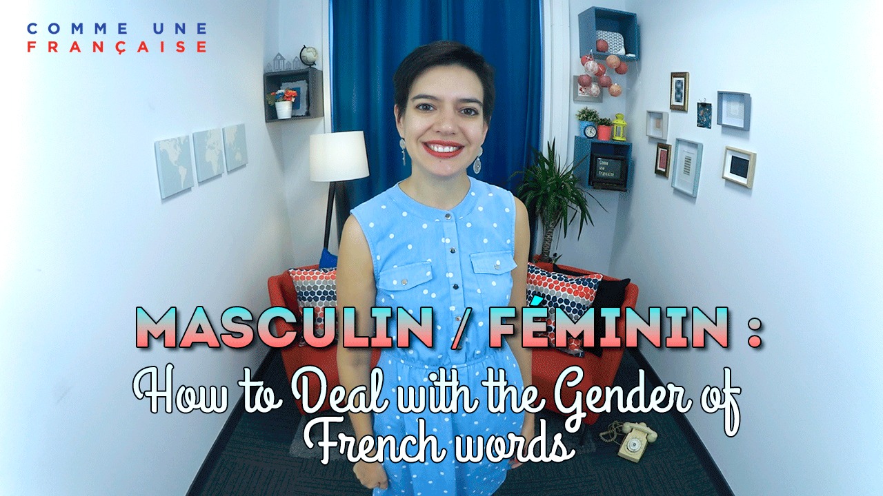 French Genders: A Short Guide to Using Masculine / Feminine Words