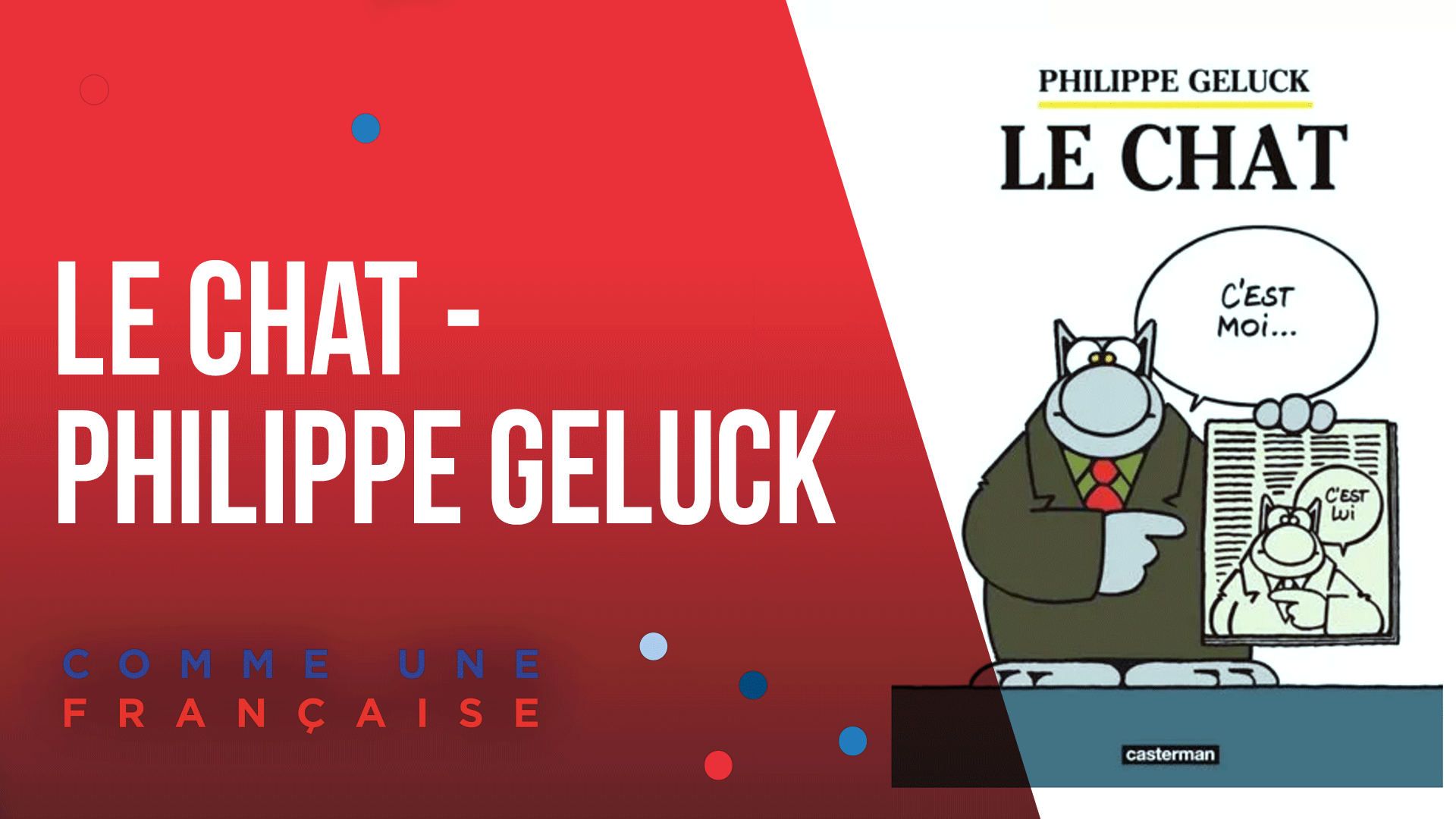 Le Chat De Geluck French Lesson The Comic Books By Philippe Geluck Comme Une Francaise